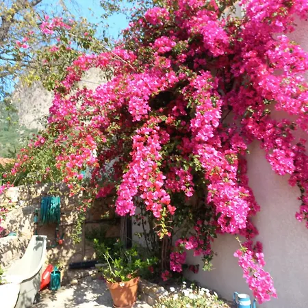 Pastriccialone Villa