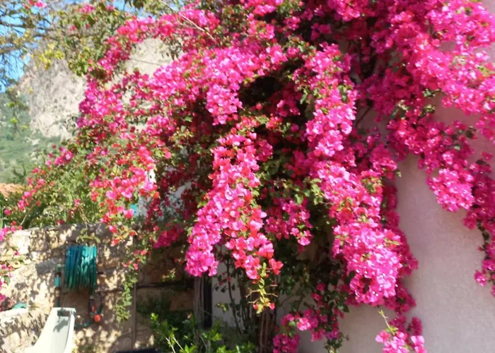 Pastriccialone 别墅